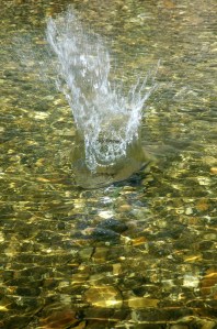 12-12-08_591893_44228499