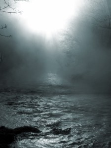 2013-03-02_24939_7887