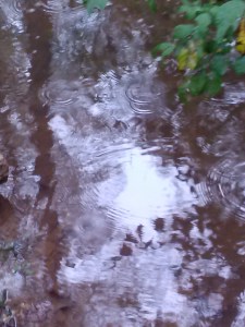 2013-11-04_egcc ripples