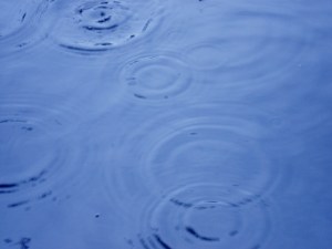 2014-11-11_582334_42448627