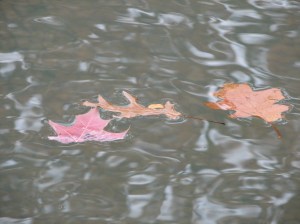 2015-07-03_418616_2932